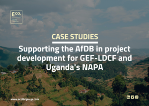 Supporting the AfDB in project development for GEF-LDCF and Uganda's NAPA