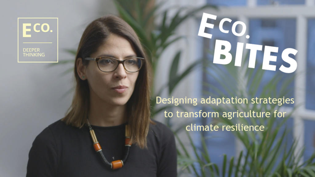 E Co. bites: Designing adaptation strategies to transform agriculture for climate resilience