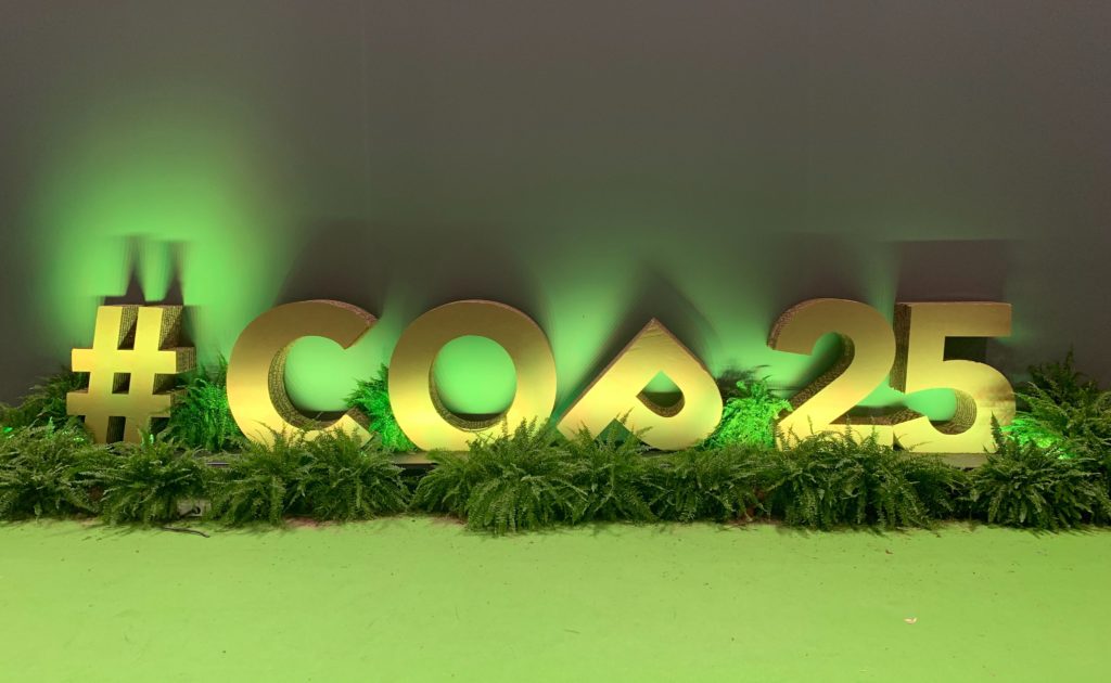 COP25: The gap between actions and words—why Article 6 negotiations continue to stall