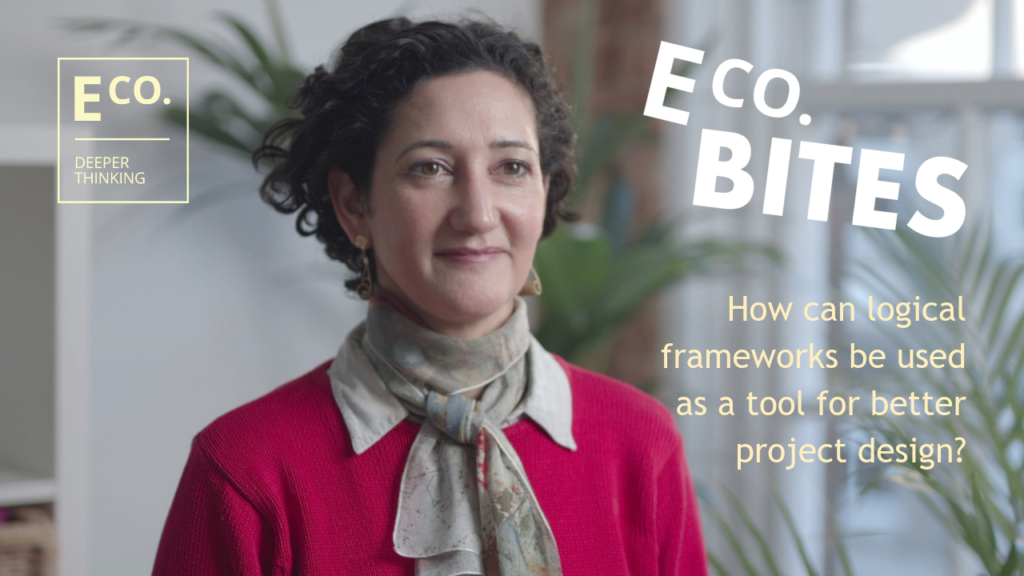 E Co. bites: How can logical frameworks be used as a tool for better project design?