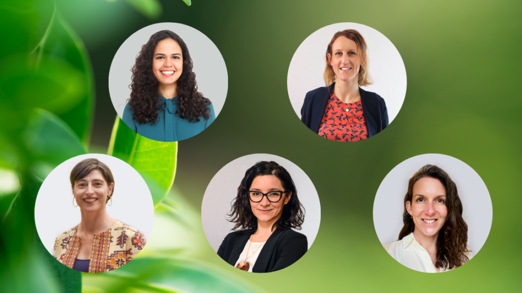 B Corp Month: Celebrating women in climate finance
