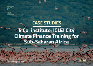 E Co. institute: ICLEI City Climate Finance Training for Sub-Saharan Africa
