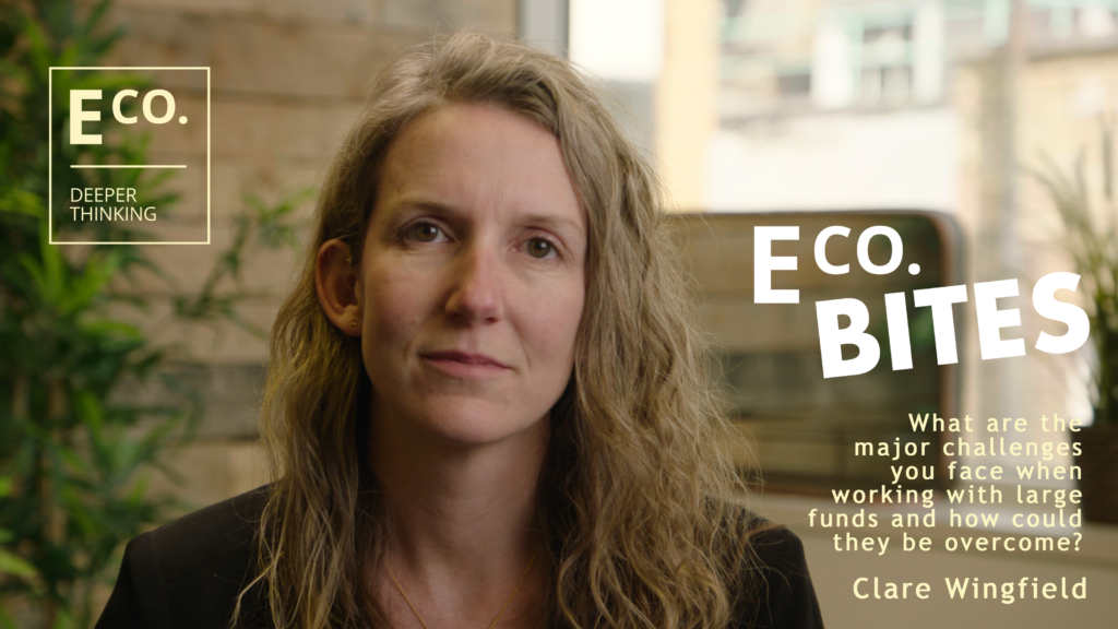E Co bites: What are the main challenges when working with large climate funds?