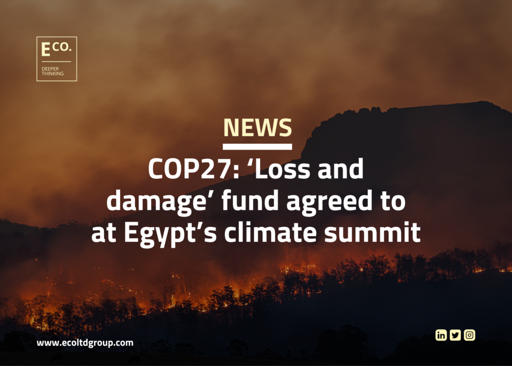 COP27: ‘Loss and damage’ fund agreed to at Egypt’s climate summit