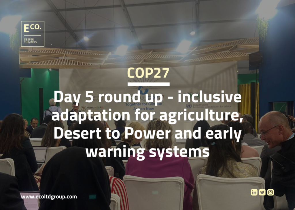 COP27: Day Five round up – inclusive adaptation for agriculture, Desert to Power and early warning systems