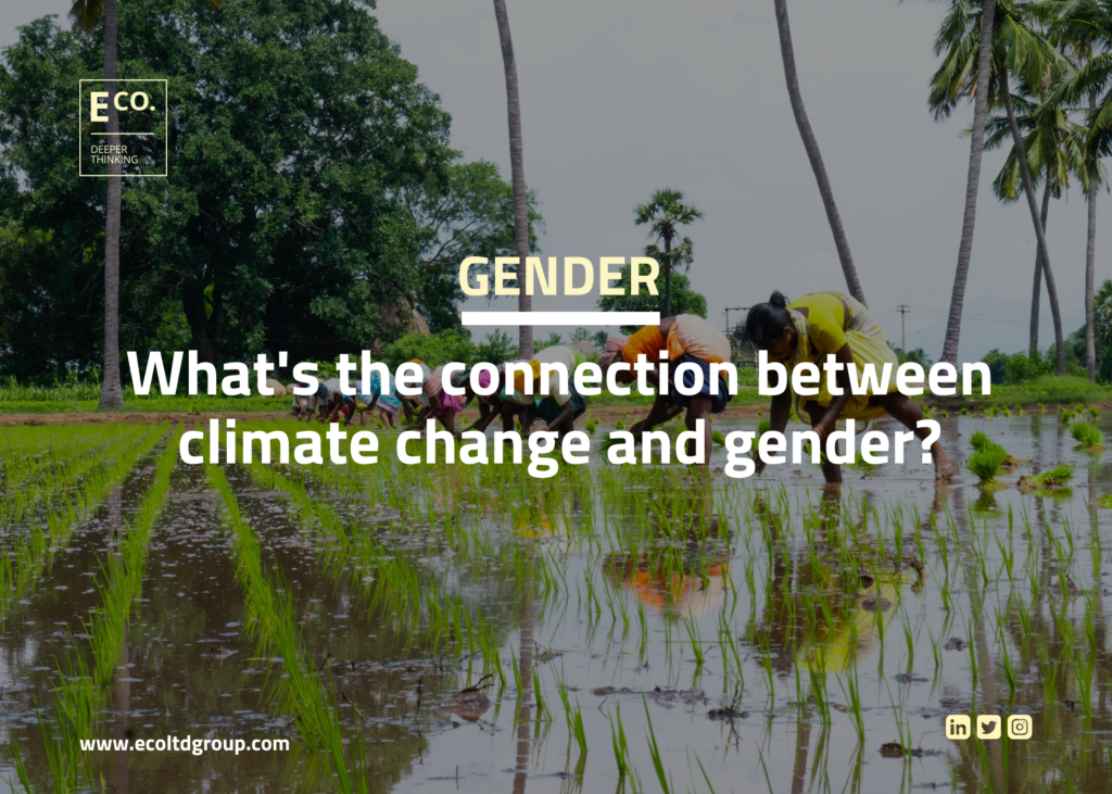 What’s the connection between climate change and gender equality?