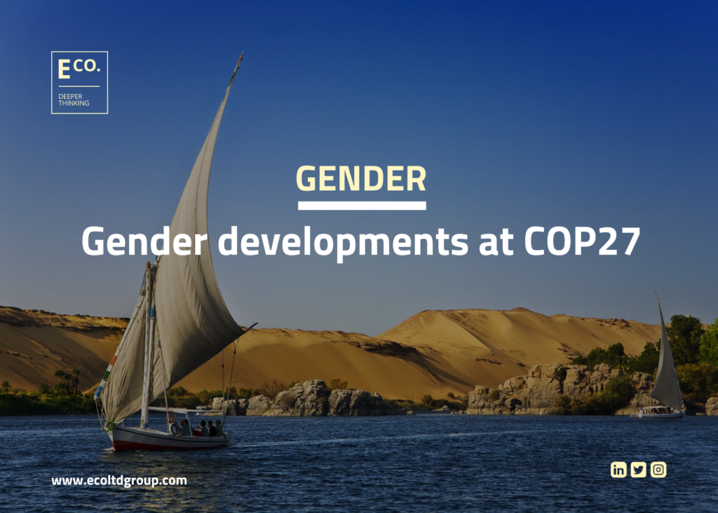 Gender developments at COP27