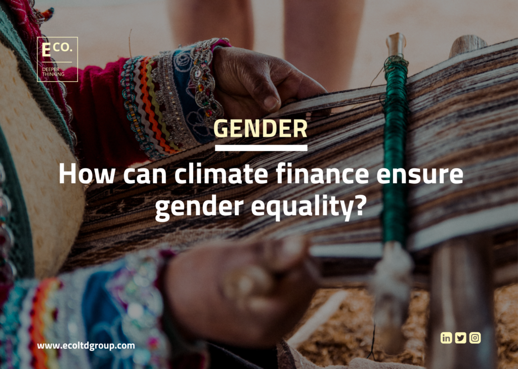 How can climate finance ensure gender equality?