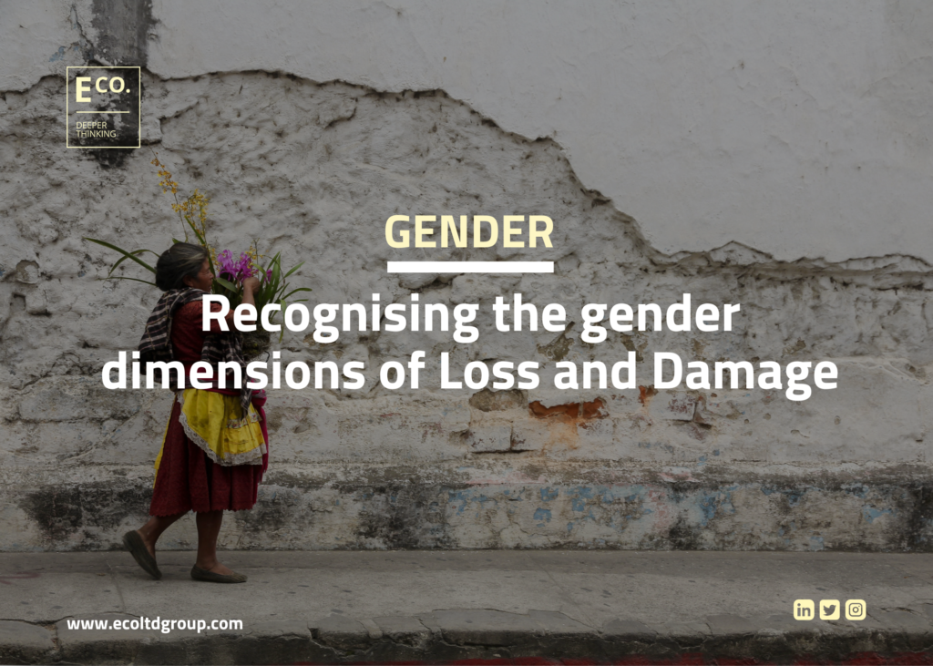 Recognising the gender dimensions of Loss and Damage