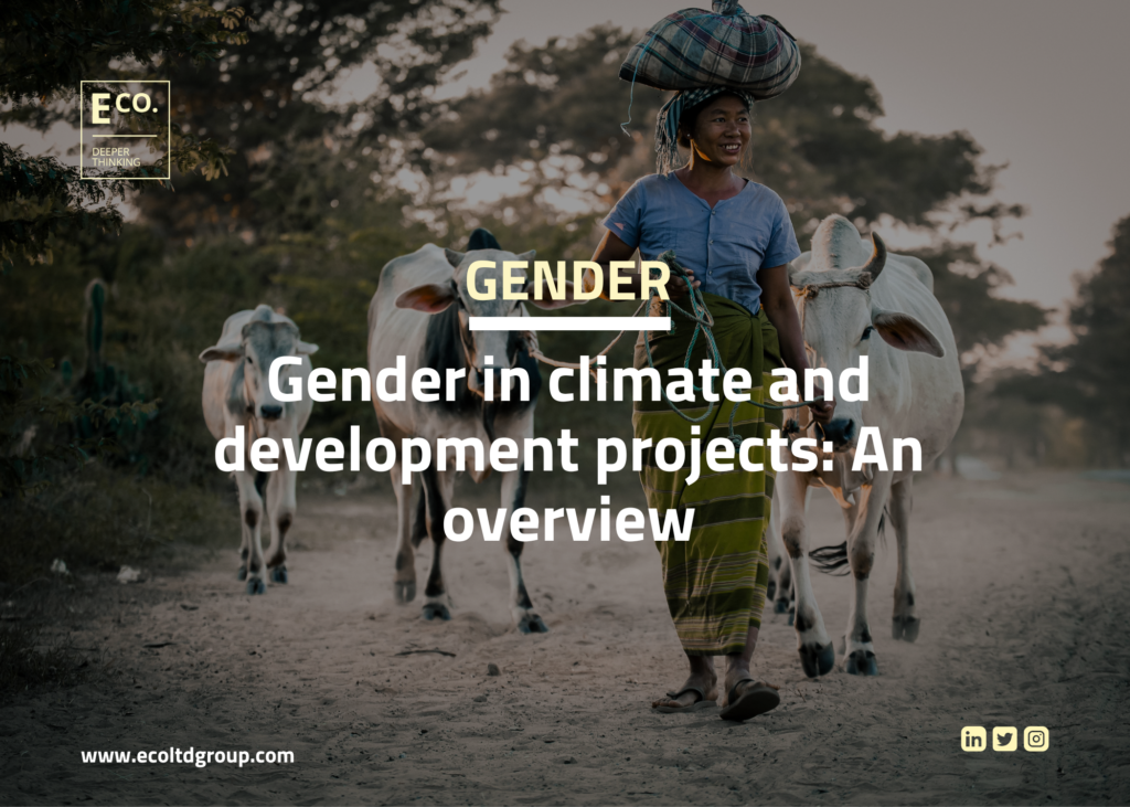 Gender in climate and development projects: An overview