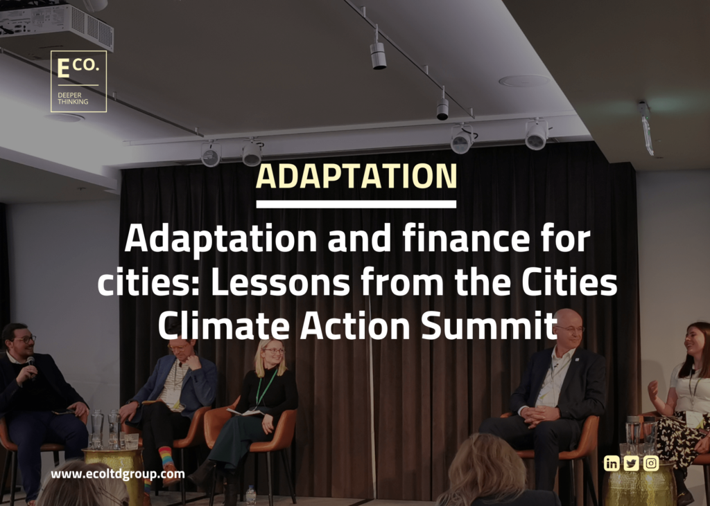 Adaptation and finance for cities: Lessons from the Cities Climate Action Summit