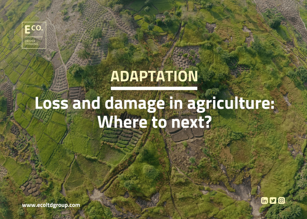 Loss and damage in agriculture: Where to next?