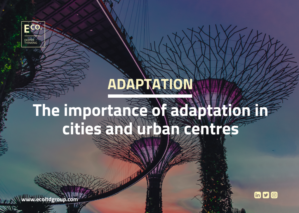 The importance of adaptation in cities and urban centres