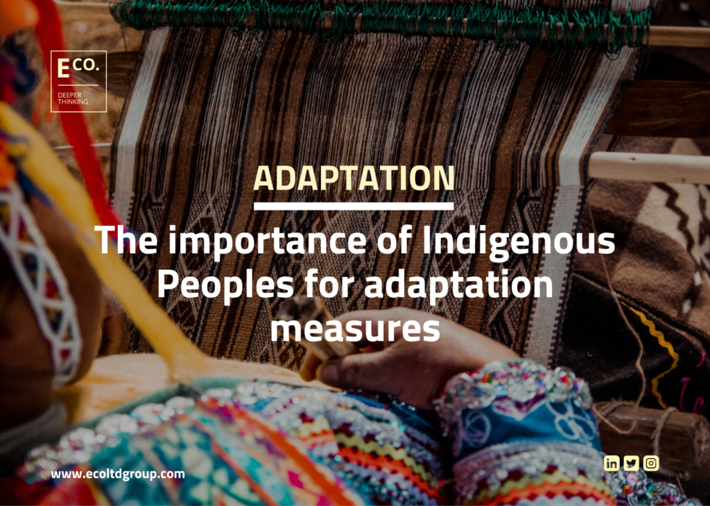 The importance of Indigenous Peoples for adaptation measures