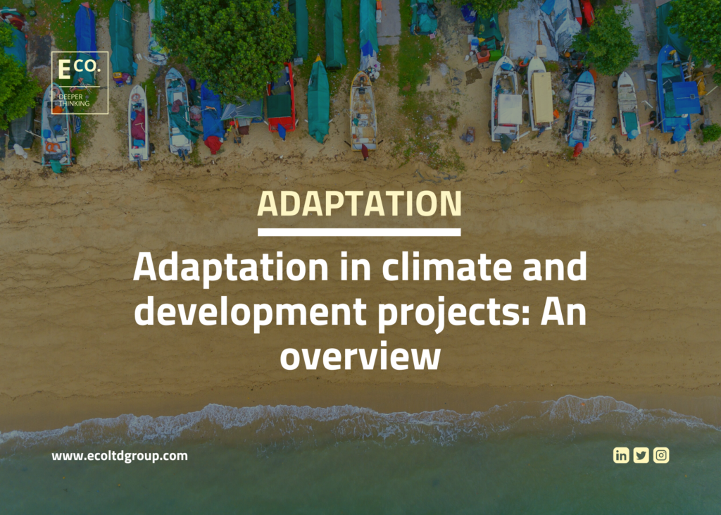 Adaptation in climate finance and development projects: An overview