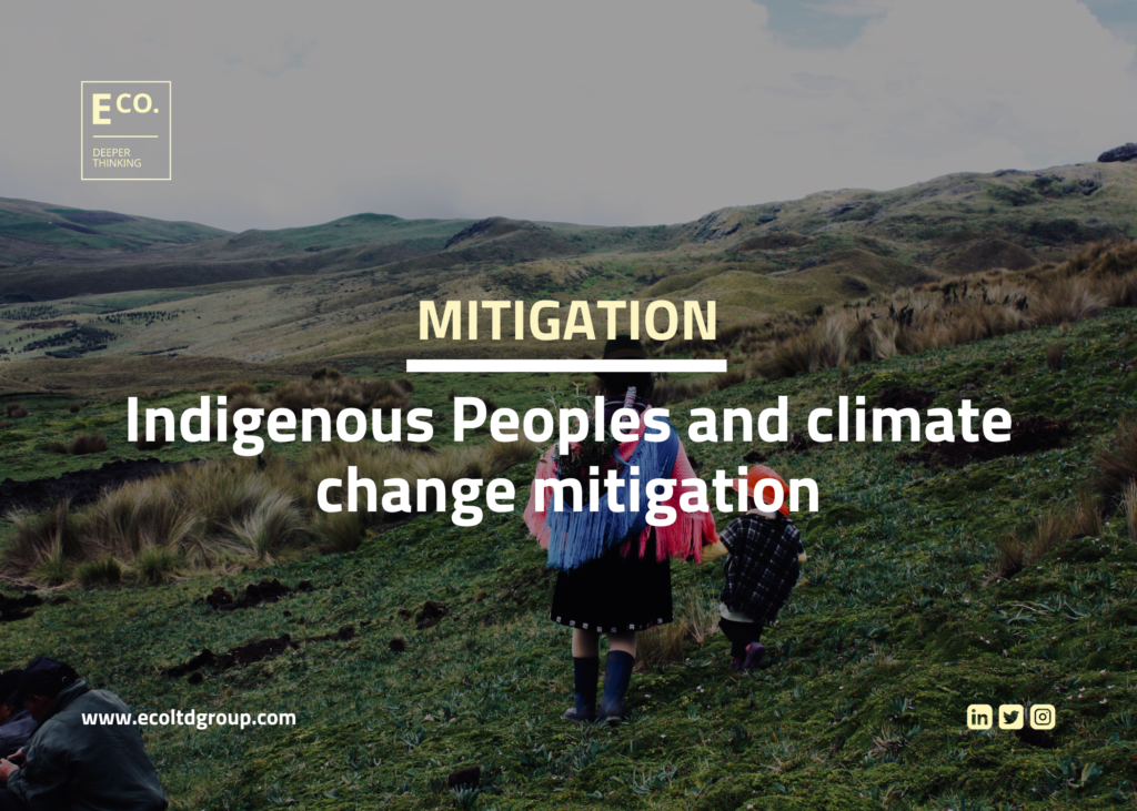 Indigenous Peoples and climate change mitigation